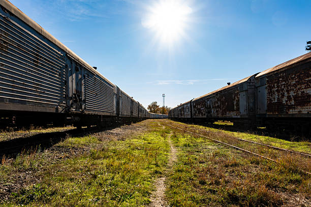 Bright sunlight shines over a train yard with parallel boxcars and grassy tracks, evoking travel, industry, and open possibilities.