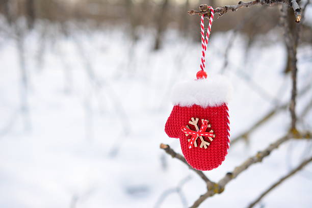 istock Red Mitten Ornament Hanging on a Snowy Tree Branch 2248354848