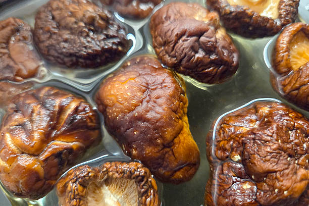 Close-up of dried shiitake mushrooms revitalizing in water, emphasizing rich textures and natural brown hues. essential in asian cuisine, these mushrooms are prepared for use in soups, stir-fries, and sauces, adding depth of flavor.