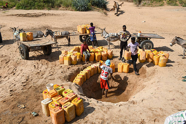 Turmi, Ethiopia - 14 August 2025: people drawing water from a ditch at Turmi in Ethiopia