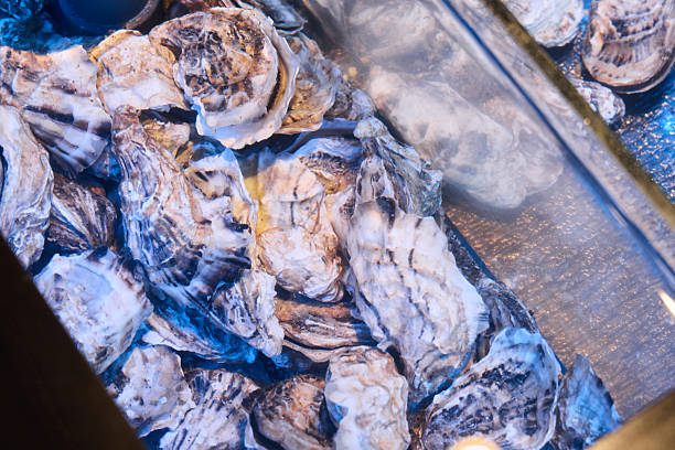 istock Premium seafood arrangement with reflective urban evening illumination 2248360954