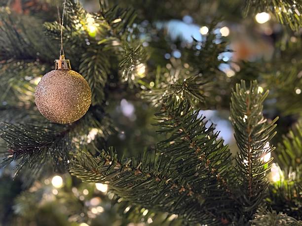 Christmas tree, bauble or light with decor for festive holiday, December or celebration in home. Closeup, object or decorations with ornaments hanging for christian tradition