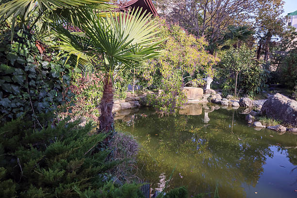 istock Palm tree overlooking a green pond with rocks and statues in a lush garden 2248366002