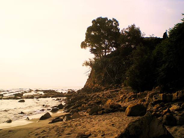 Rocky shoreline with a gentle surf at twilight. The sky transitions from deep purple to pale blue as the sun sets, casting reflections on the water. Silhouetted trees and a gentle hill are visible on the right edge. The beach is strewn with small rocks and pebbles, while the horizon stretches endlessly. Sea waves softly lap against the shore, creating a tranquil scene.