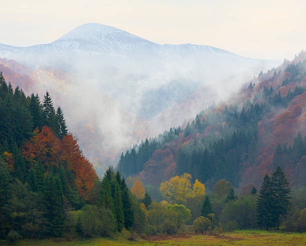 istock mystery norning in mountain valley 2248370046