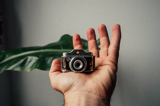 Hand holding a miniature retro film camera with a green plant in the background