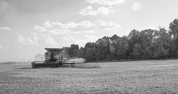 istock Soybean Harvest- Howard County, Indiana 2248371430