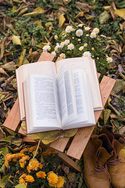 istock Two printed books on a wooden chair outdoors in the forest during fall 2248373043