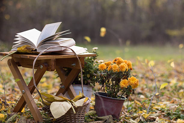 Autumn, fall composition of various items such as books on a wooden chair, flowers, basket outdoors in the forest.