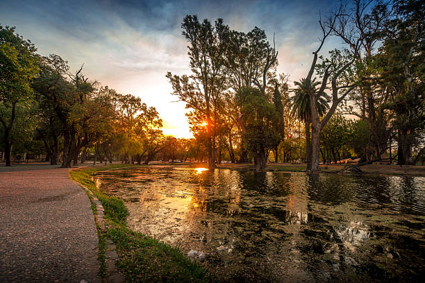 Park lake reflecting a beautiful sunset sky and surrounding trees