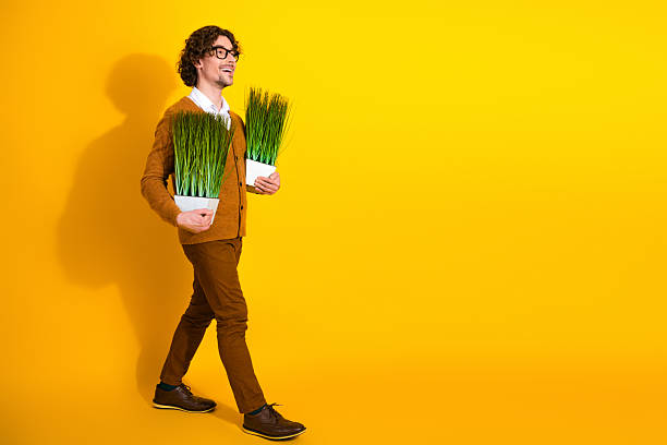 istock Young man walks with two potted grasses in a bright yellow studio backdrop wearing a brown cardigan and glasses 2248373694