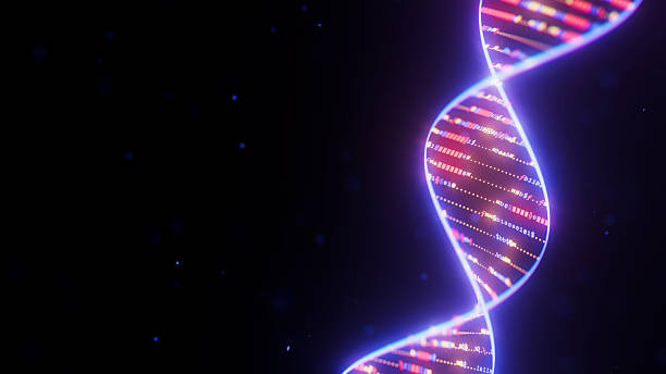 istock Abstract Digital DNA Double Helix spiral with data flow background. Medical science concept of biotechnological AI or quantum computing. Futuristic technology genetic research. 2248375507