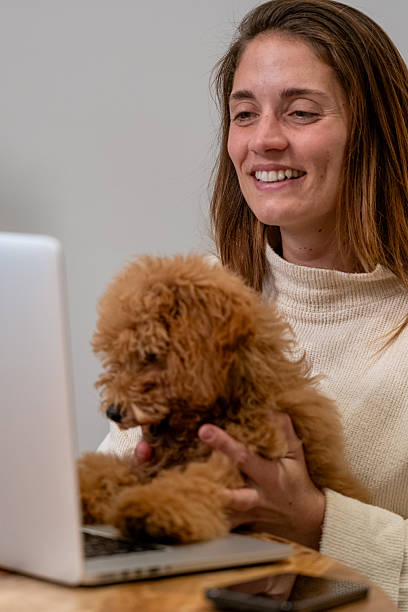 istock Young woman enjoying remote work with cute puppy 2248381621