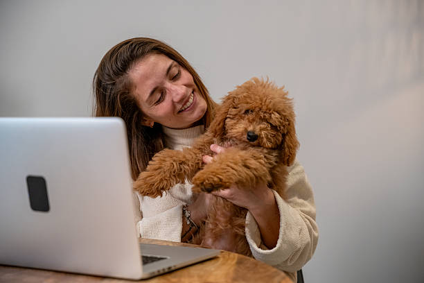 istock Woman working from home embracing cute poodle puppy 2248381630