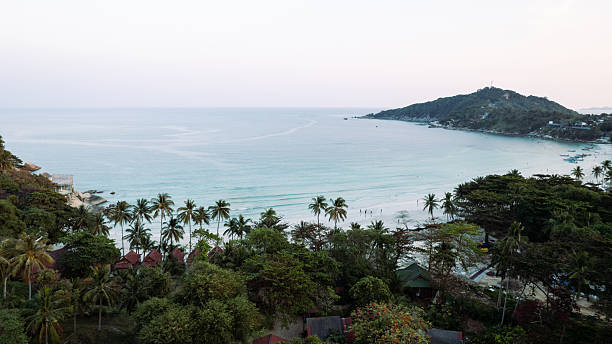 Tropical beach landscape featuring a serene coastline, lush palm trees, and turquoise waters under a pastel hued sky. Ideal setting for relaxation, nature appreciation, and island adventures.