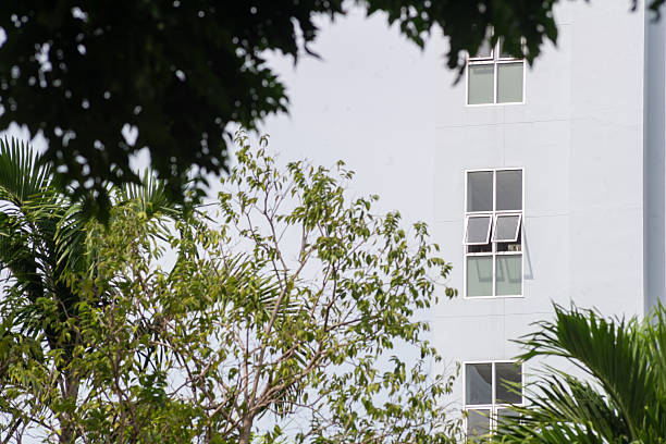 istock Urban Building Behind Lush Green Foliage 2248382636