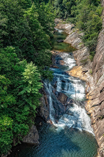 istock Water cascades down rocks in Tallulah River Gorge surrounded by lush greenery under a bright sky 2248382756