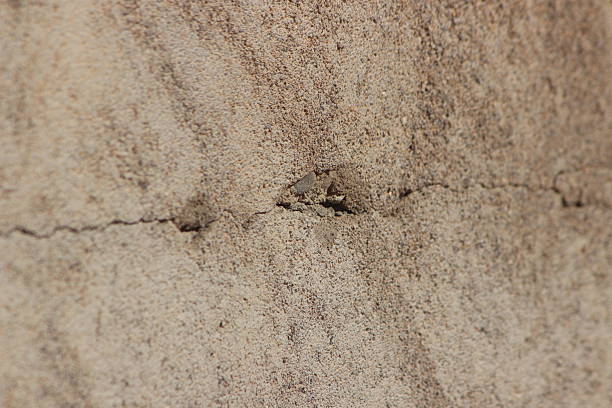 Cracked concrete wall in a gray color.