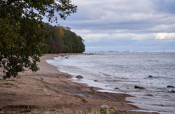 istock Sandy shoreline with forest and distant city skyline under cloudy autumn sky. 2248391492