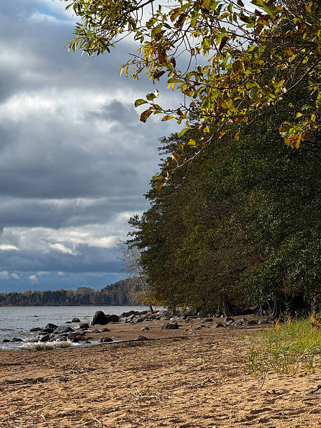 istock Rocky sandy shore with trees and waves under cloudy sky in autumn season. 2248391668