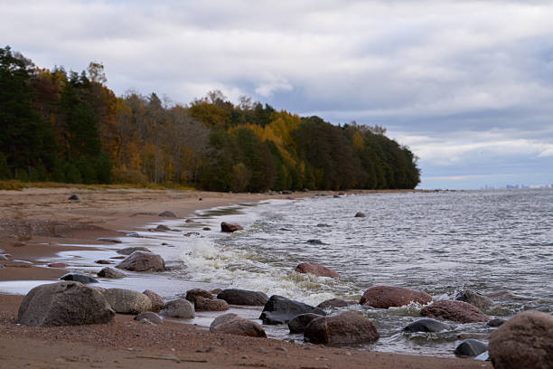 View of shallow coastal waves near sandy beach lined with stones, extending toward distant city skyline visible across the Gulf of Finland under cloudy overcast daylight.