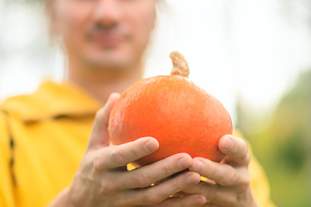 Yellow pumpkin, full frame close up