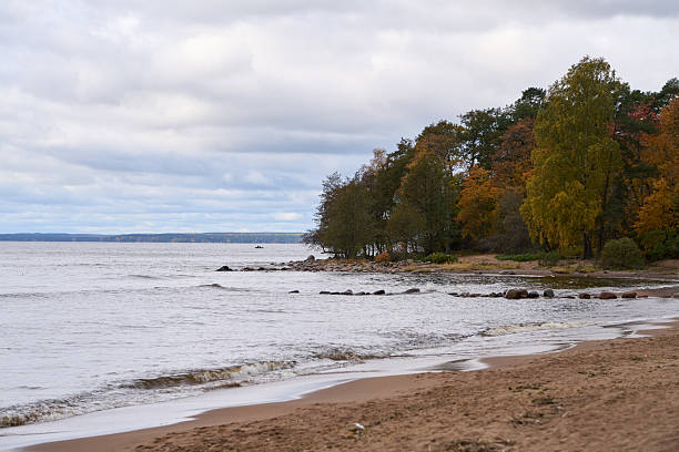 Sandy coastal shoreline bordered by forest with colorful autumn foliage where gentle waves meet calm sea surface beneath layered cloudy sky during daylight in quiet natural landscape.