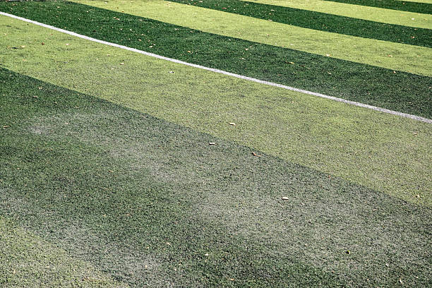 istock Artificial Turf Sports Field 2248392875