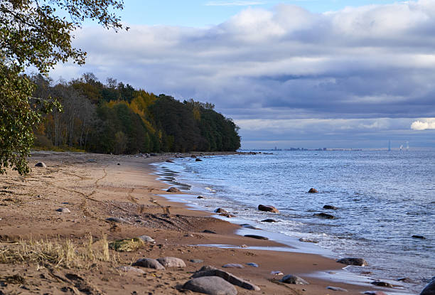 Scenic view of sandy beach with scattered stones and gentle waves, bordered by dense forest with autumn foliage and cloudy sky above, distant urban skyline barely visible on horizon.