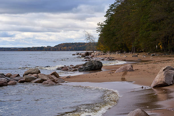 Coastal scene showing small waves rolling toward a sandy beach with scattered large stones, bordered by trees and forest along the Gulf of Finland under a cloudy autumn sky.