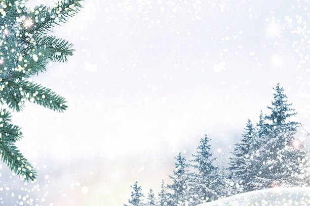 A snowy landscape with blurred trees in the background and sunlight shining through