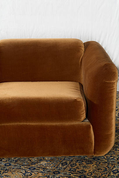 istock Vintage velvet sofa with midcentury modern style 2248393947