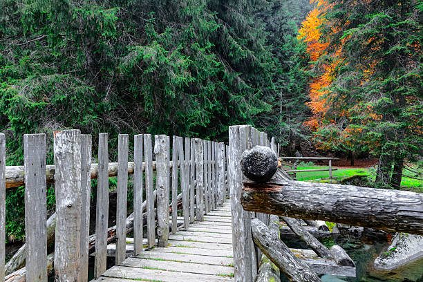 Val Nambrone Wooden Bridges, trentino, italy