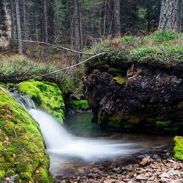 Vallesinella Waterfalls, trentino, Italy