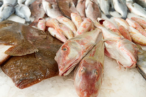 istock Fresh seafood assortment displayed on ice, featuring various fish species, showcasing vibrant colors and textures in a market setting 2248399128