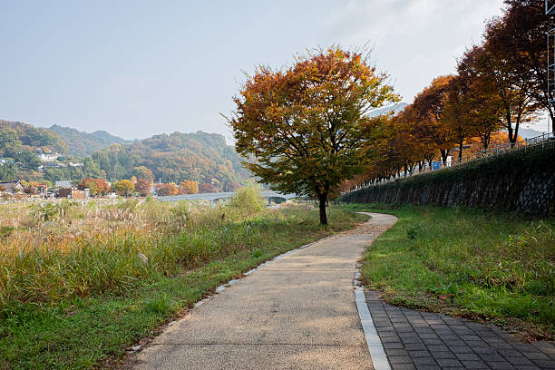 Winding path curves through a park showing colorful autumn trees, green grass, and hillside by a quiet river