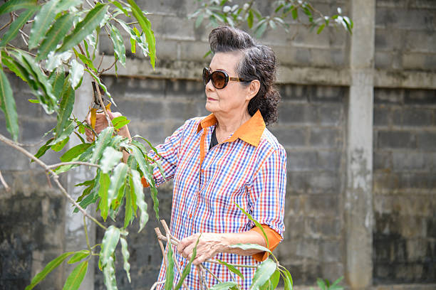 istock An old woman is happily gardening 2248405958