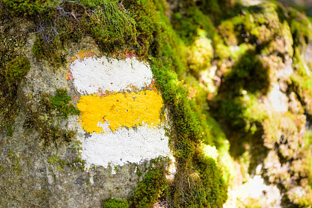 istock Close-up of hiking trail marker 2248405976