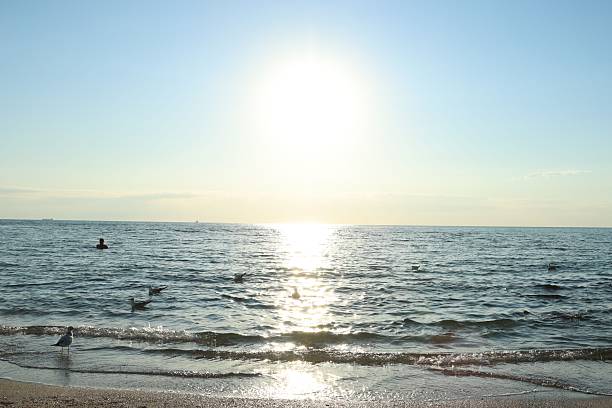 Beautiful sea and seagulls on sunny day