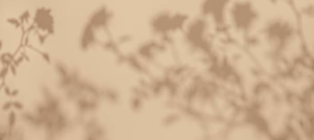 istock Abstract Floral Shadow Pattern in Soft Beige for Vintage 70s Aesthetic 2248409229
