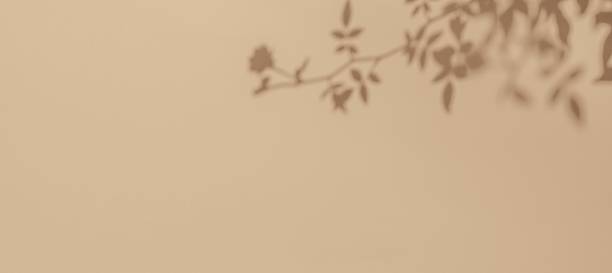 istock Minimalist Beige Background with Soft Botanical Shadows for Modern Nature-Inspired Design 2248409294