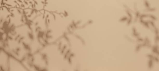 istock Minimalist Botanical Silhouette on Soft Beige Background 2248409303