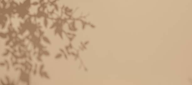 istock Soft Beige Shadow Play with Leaves for Minimalist Boho Aesthetic 2248409313