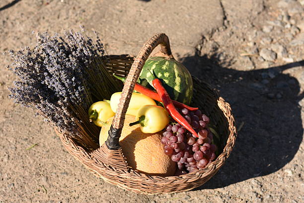 Wicker basket with fruits and vegetables: grapes, watermelon, melon, pepper, and lavender on asphalt. Slight top view, medium shot.