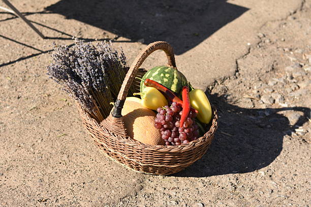 Wicker basket with chili, yellow pepper, watermelon, melon, and lavender on asphalt. Top-side view.