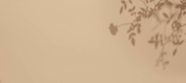 istock Minimalist Beige Background with Plant Shadows for Modern 2000s Aesthetic 2248409486