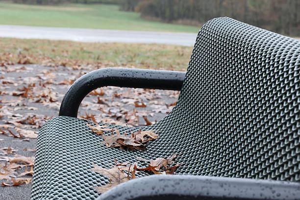 Bench in public park covered in leaves