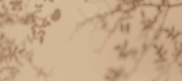 istock Sepia-Toned Floral Branch Silhouette Pattern for 90s, Vintage Design 2248409556