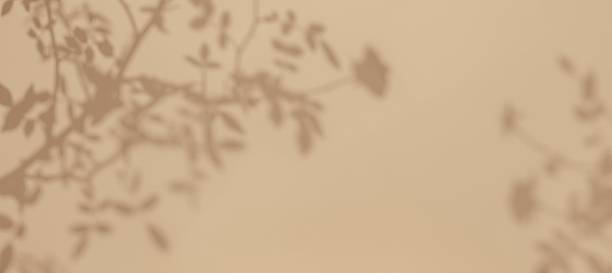 istock Soft Beige Plant Shadows Background with Minimalist Aesthetic 2248409578