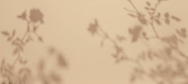 istock Soft Floral Shadows on Beige Background for Vintage 90s Aesthetic 2248409605